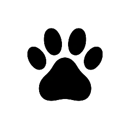 Dog Dog